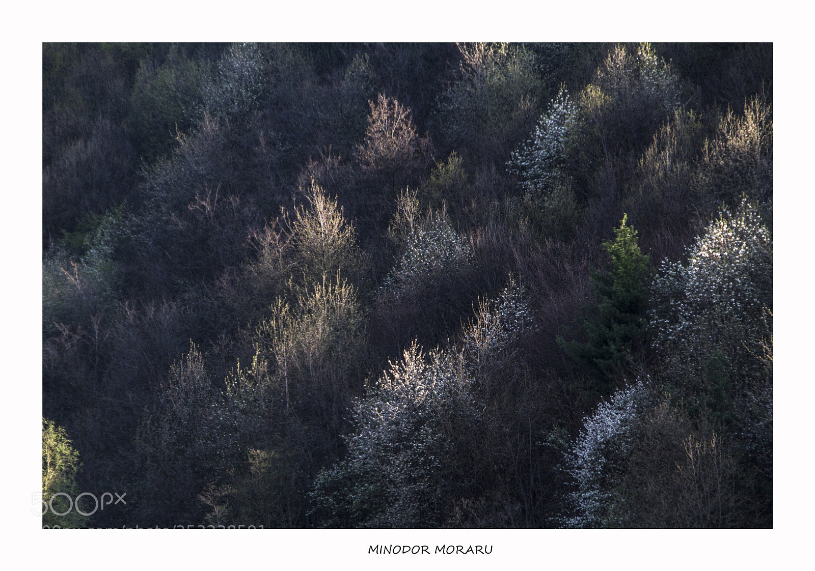 Canon EOS 7D sample photo. Sunset photography