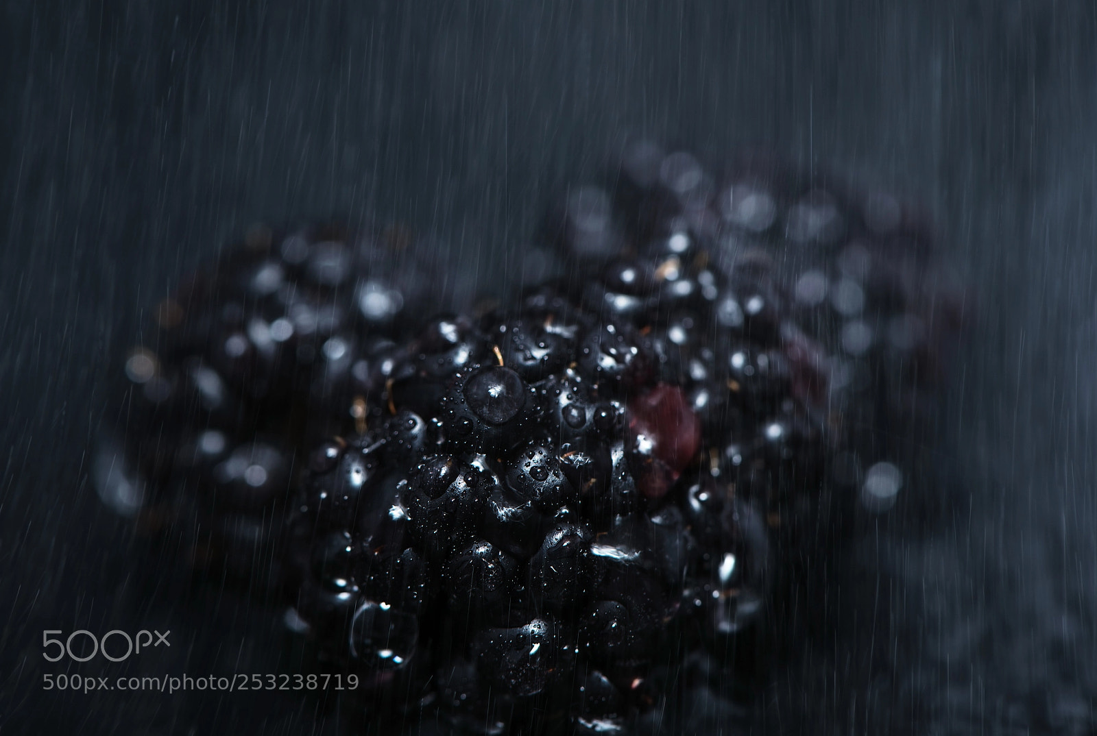 Nikon D800 sample photo. Standing in the rain photography