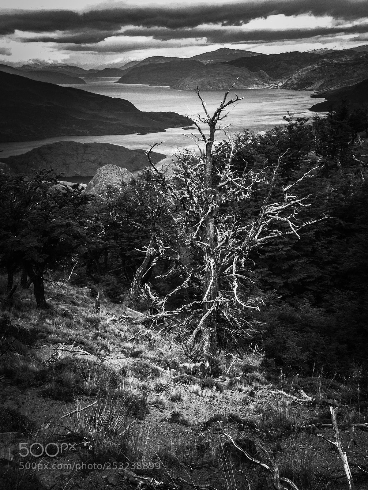 Apple iPhone 5c sample photo. Lago cochrane, chile photography
