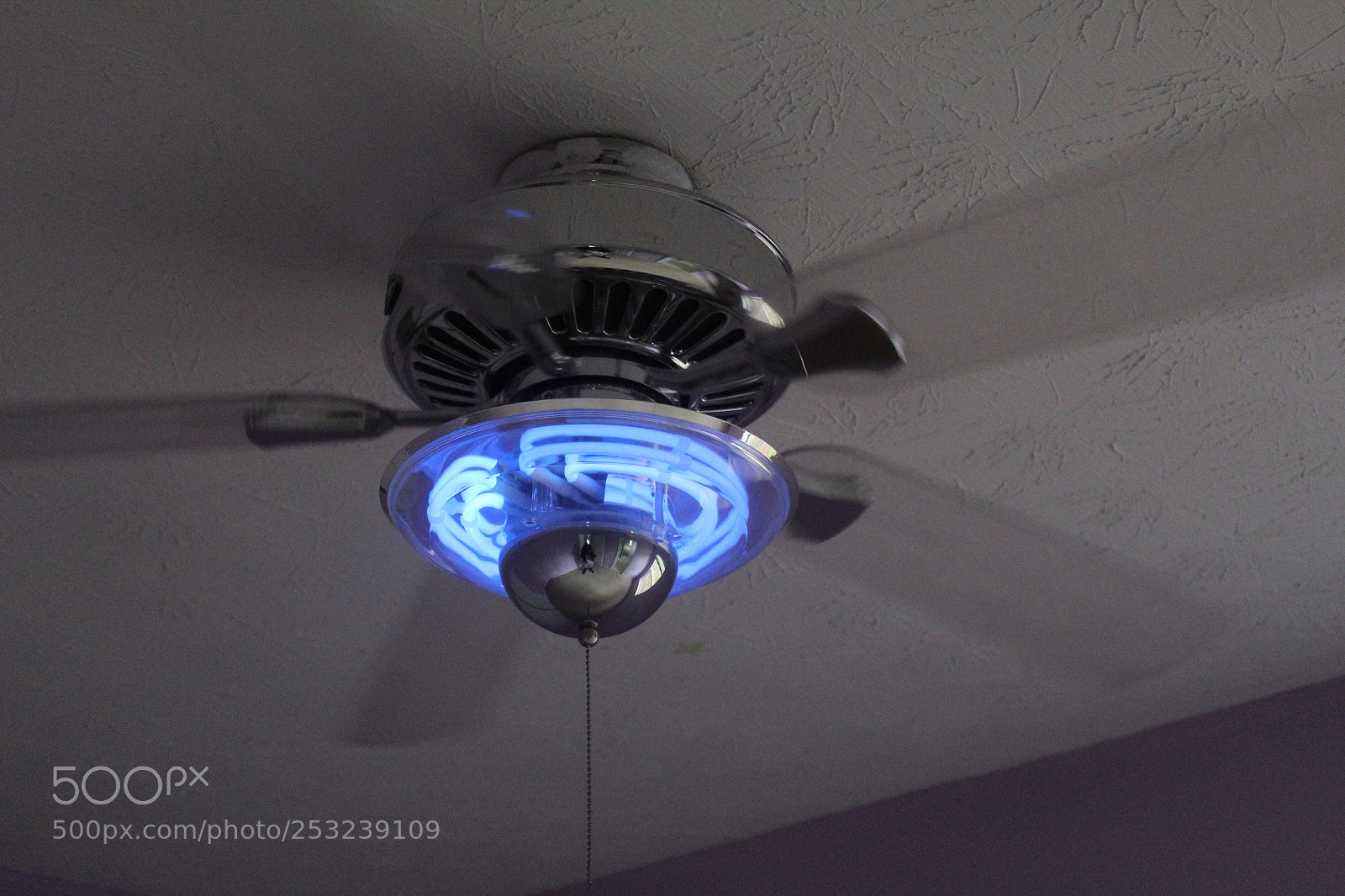 Canon EOS 1300D (EOS Rebel T6 / EOS Kiss X80) sample photo. Fan photography