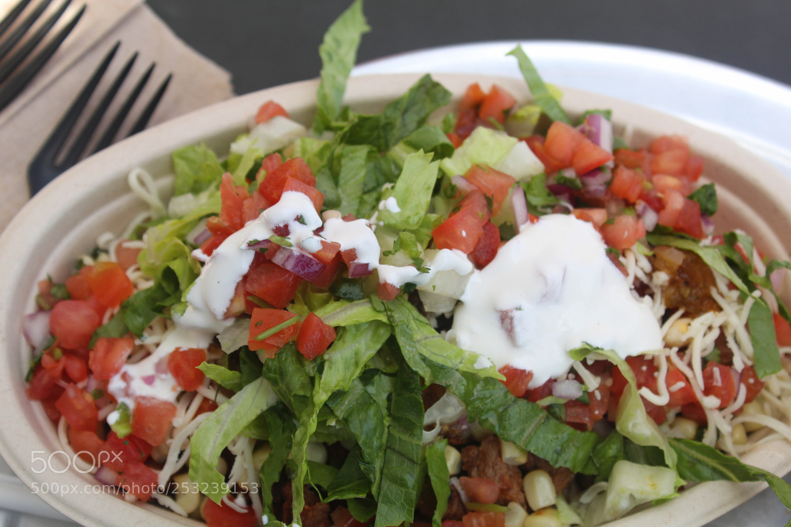 Canon EOS 1300D (EOS Rebel T6 / EOS Kiss X80) sample photo. Burrito bowl photography