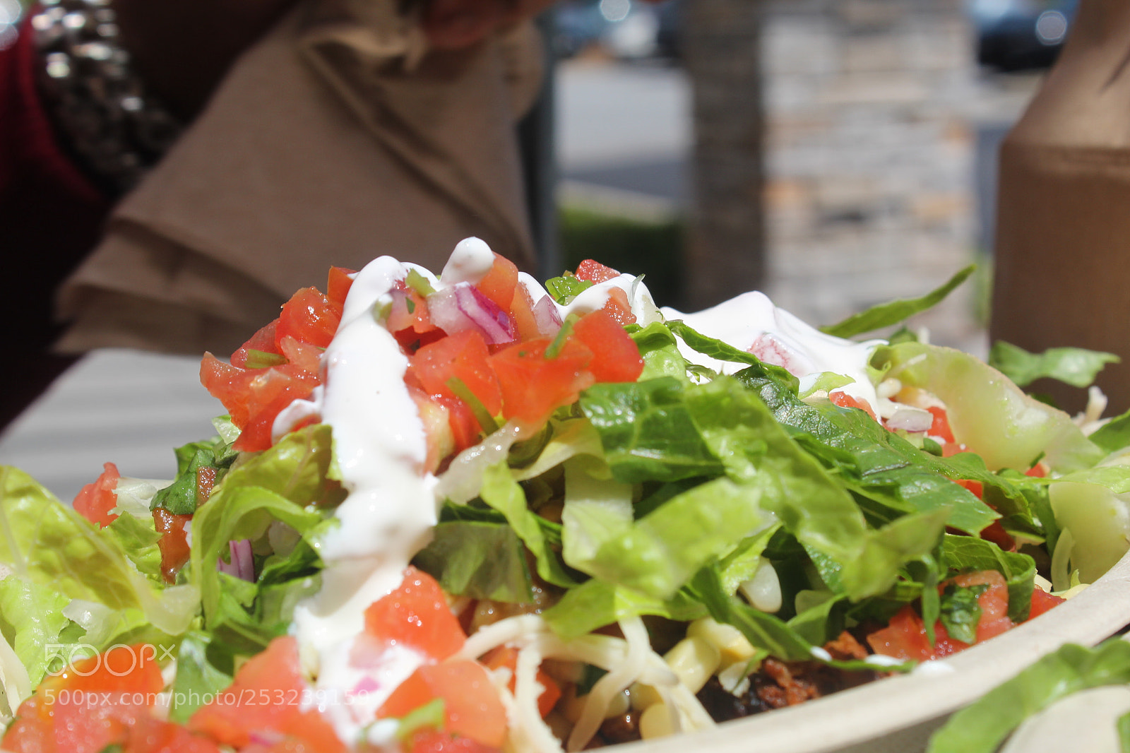 Canon EOS 1300D (EOS Rebel T6 / EOS Kiss X80) sample photo. Burrito bowl photography