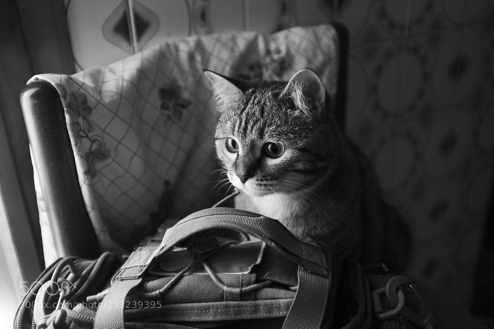 Fujifilm X100T sample photo. Baggage inspector photography