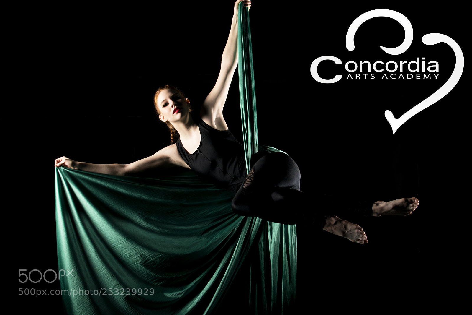 Nikon D500 sample photo. Aerial silks photography