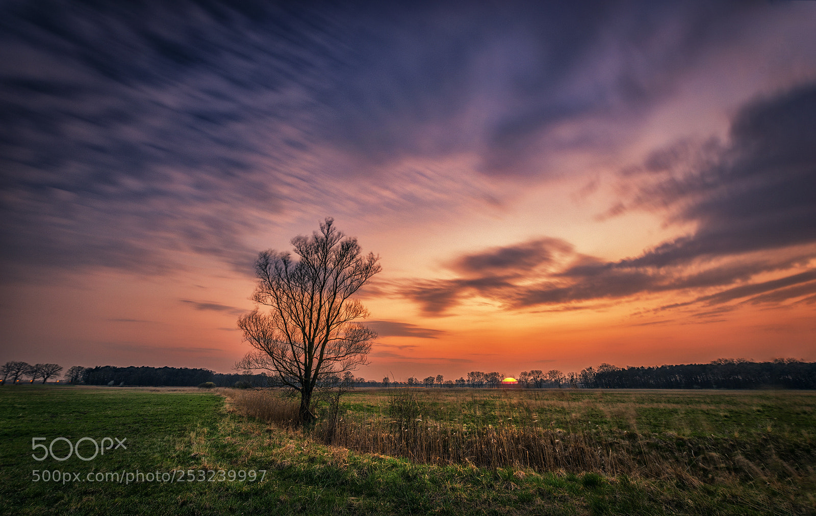 Nikon D810 sample photo. Abendhimmel photography