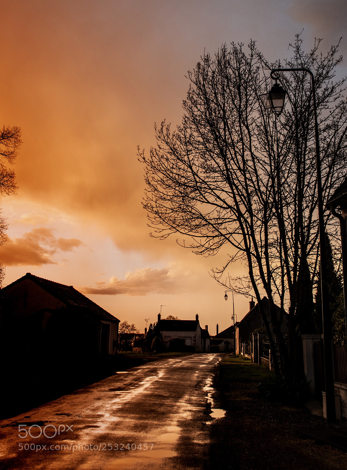 Nikon D5000 sample photo. Fire on the road  photography