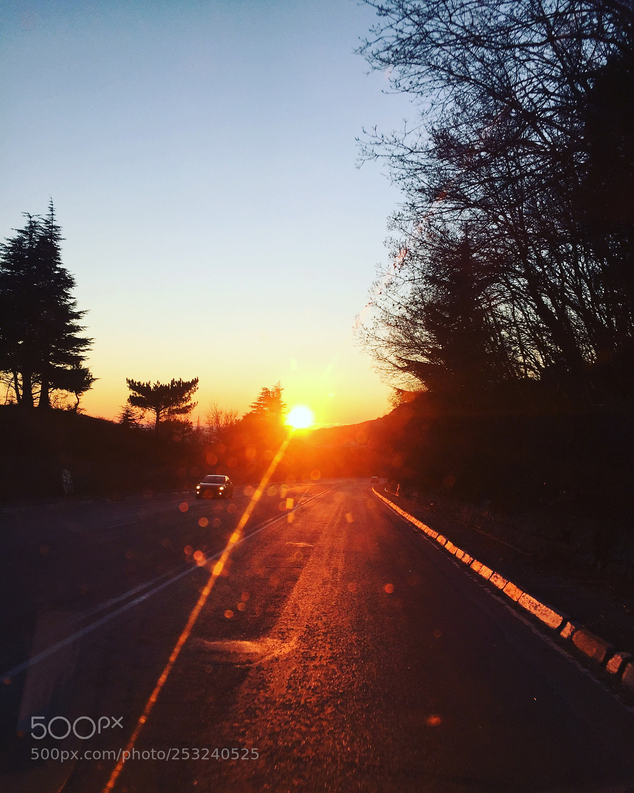 Apple iPhone 6 sample photo. Untitled photography