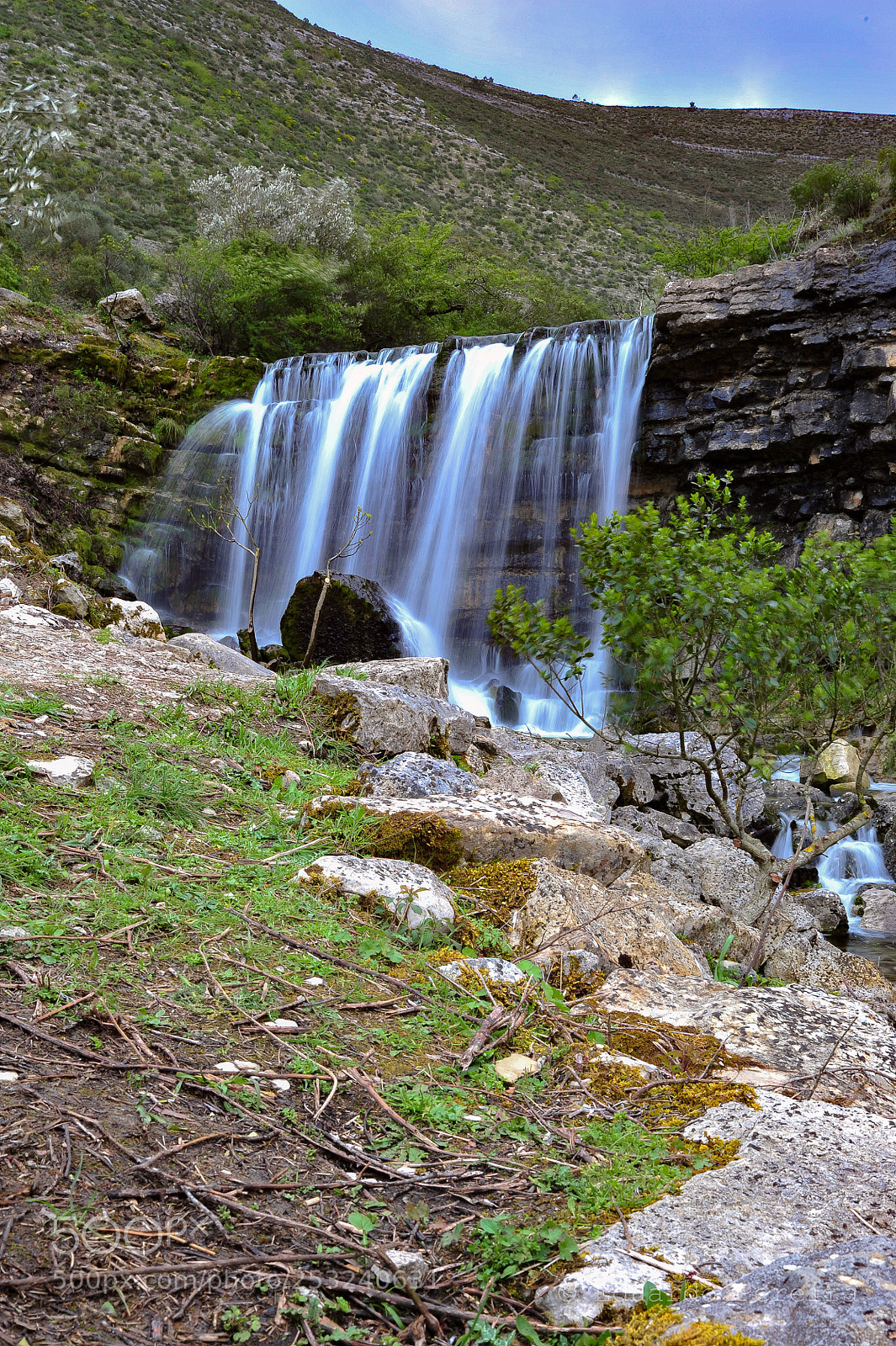 Nikon D700 sample photo. Untitled photography