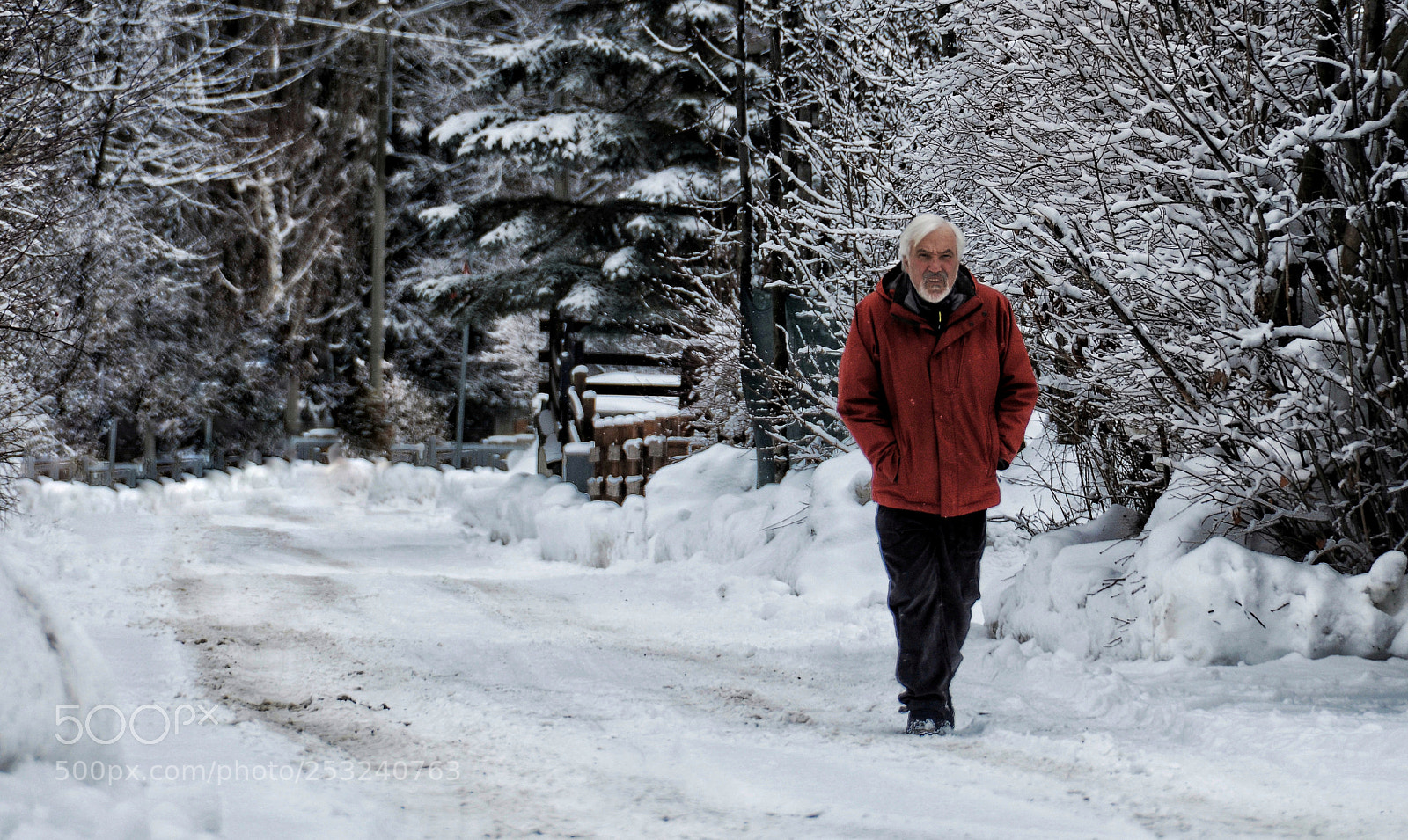 Nikon D7000 sample photo. Count dooku photography