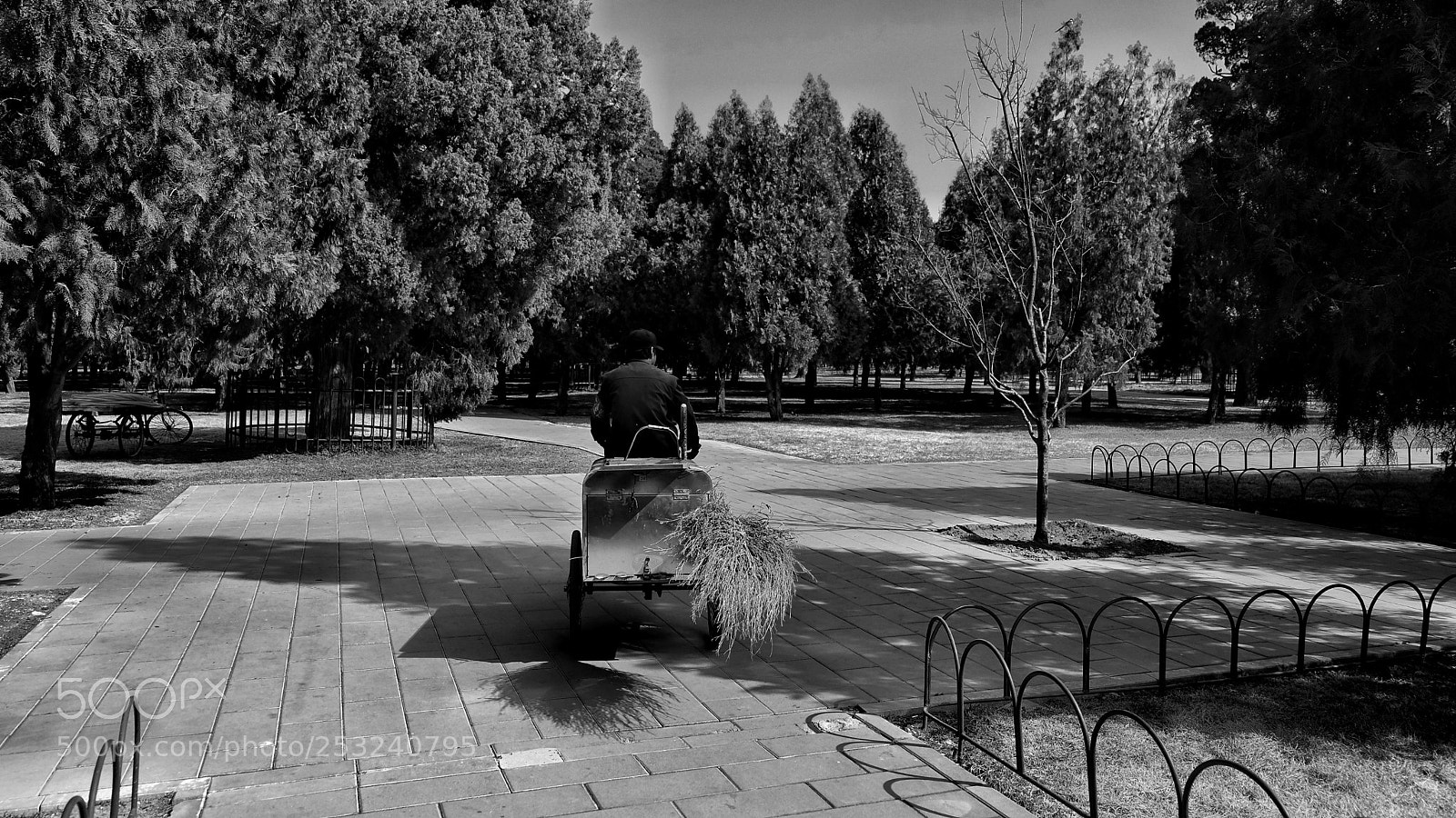 Fujifilm X-T20 sample photo. Work in a park photography