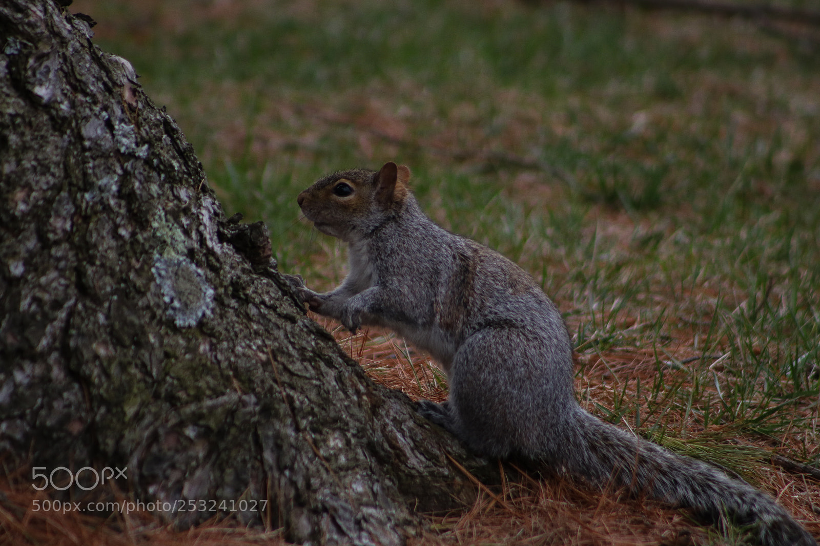 Canon EOS 750D (EOS Rebel T6i / EOS Kiss X8i) sample photo. Ready to climb photography