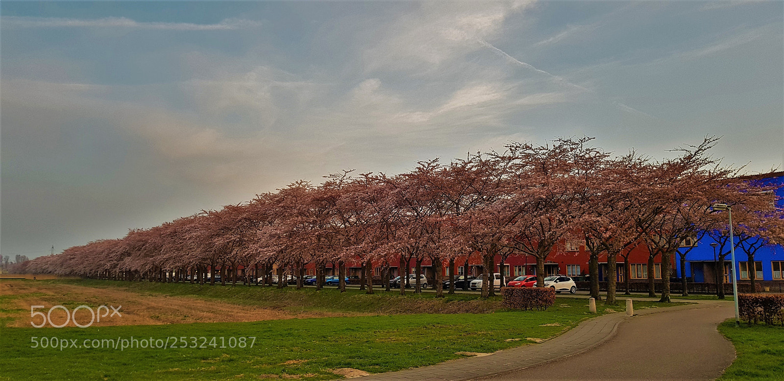 Samsung Galaxy S8 sample photo. 20180408_201449.jpg photography