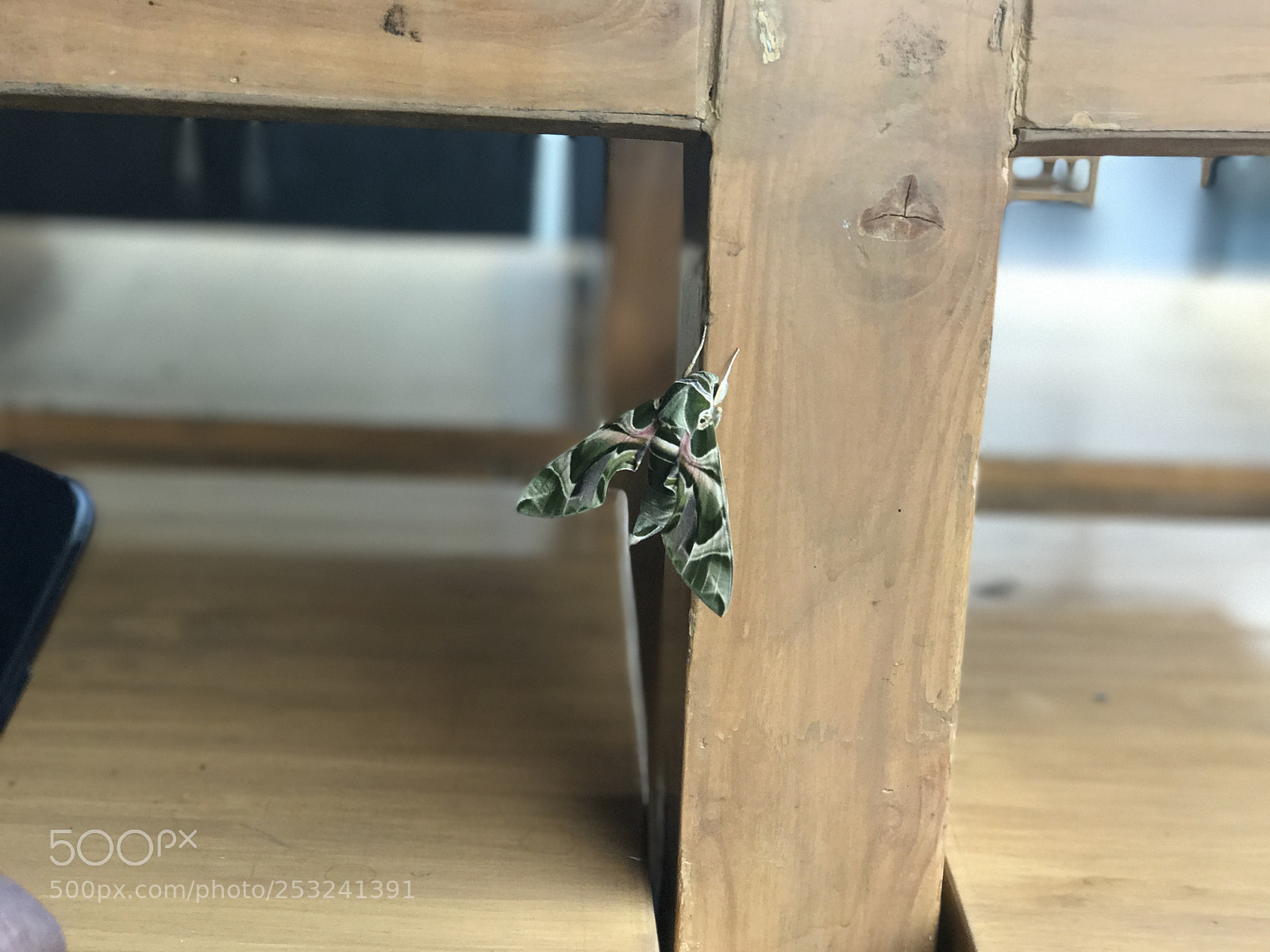 Apple iPhone 7 Plus sample photo. Cdba a ae bba photography