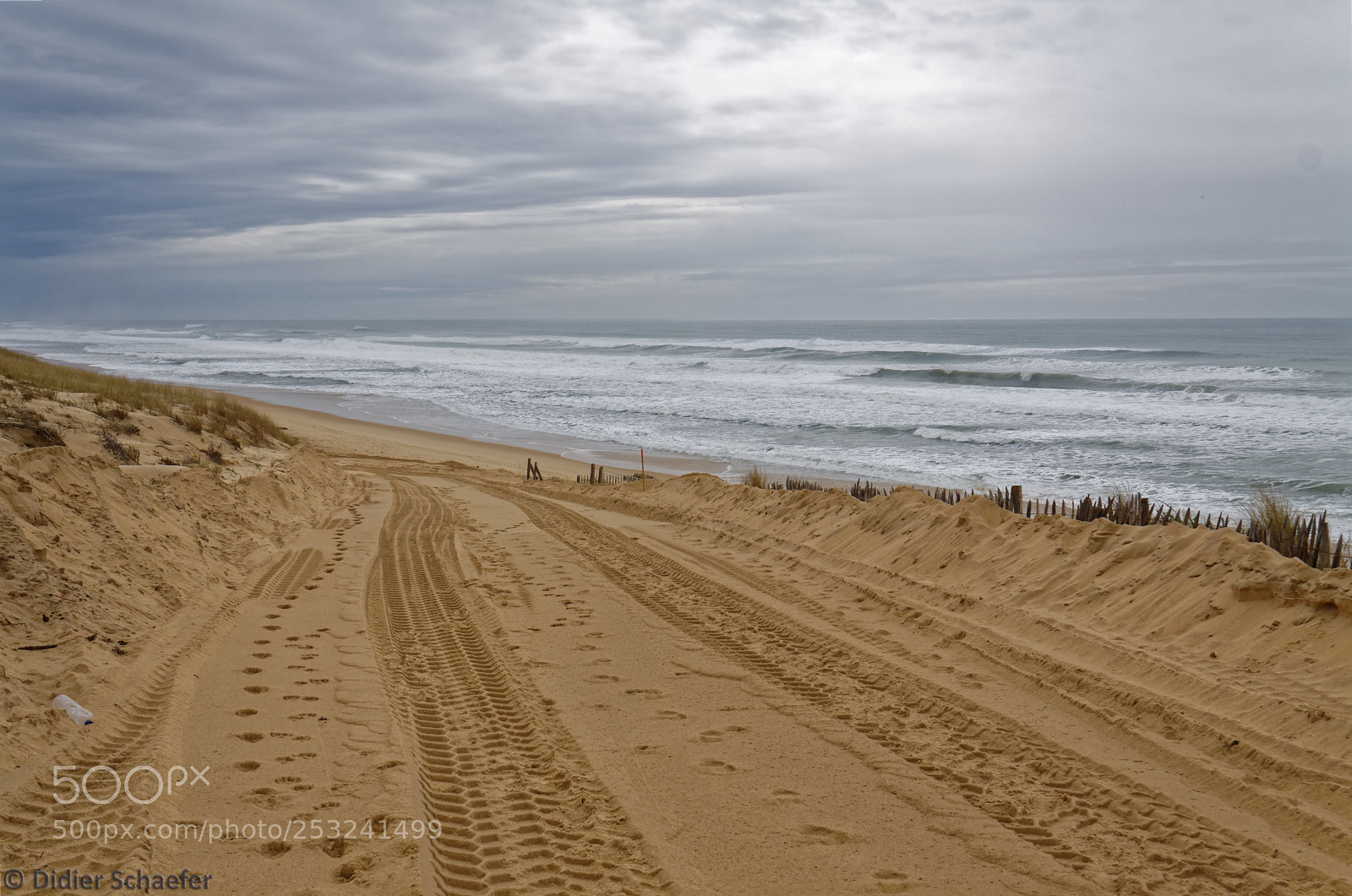 Canon EOS 50D sample photo. Going to the beach photography