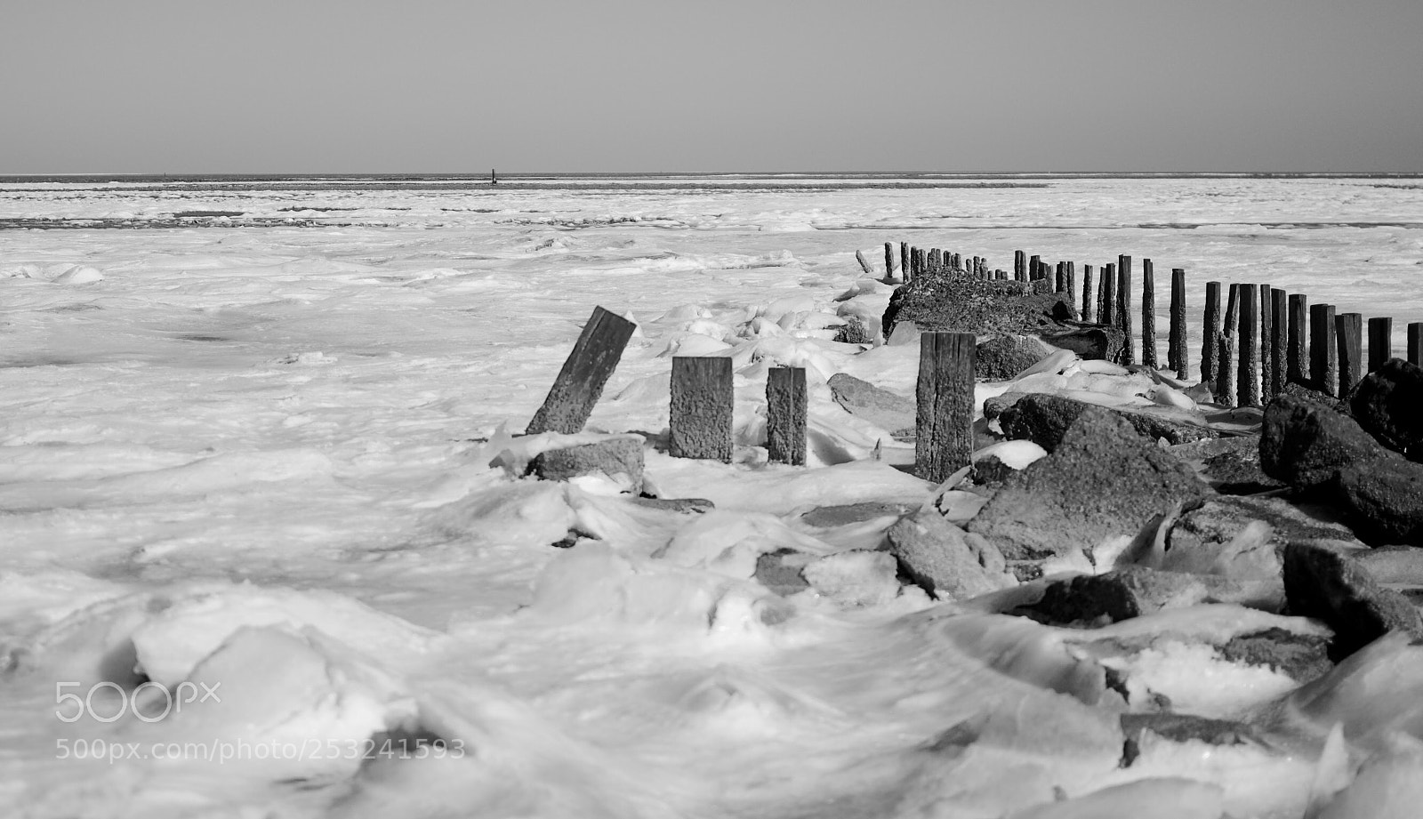 Nikon D7100 sample photo. Untitled photography