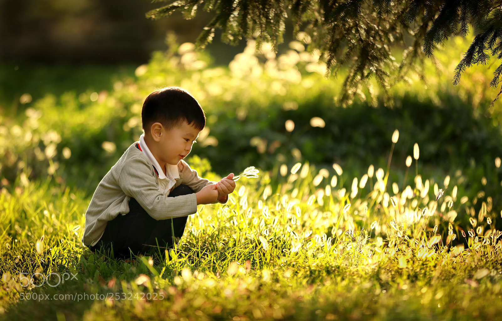 Canon EOS 5D Mark IV sample photo. 拔草 photography