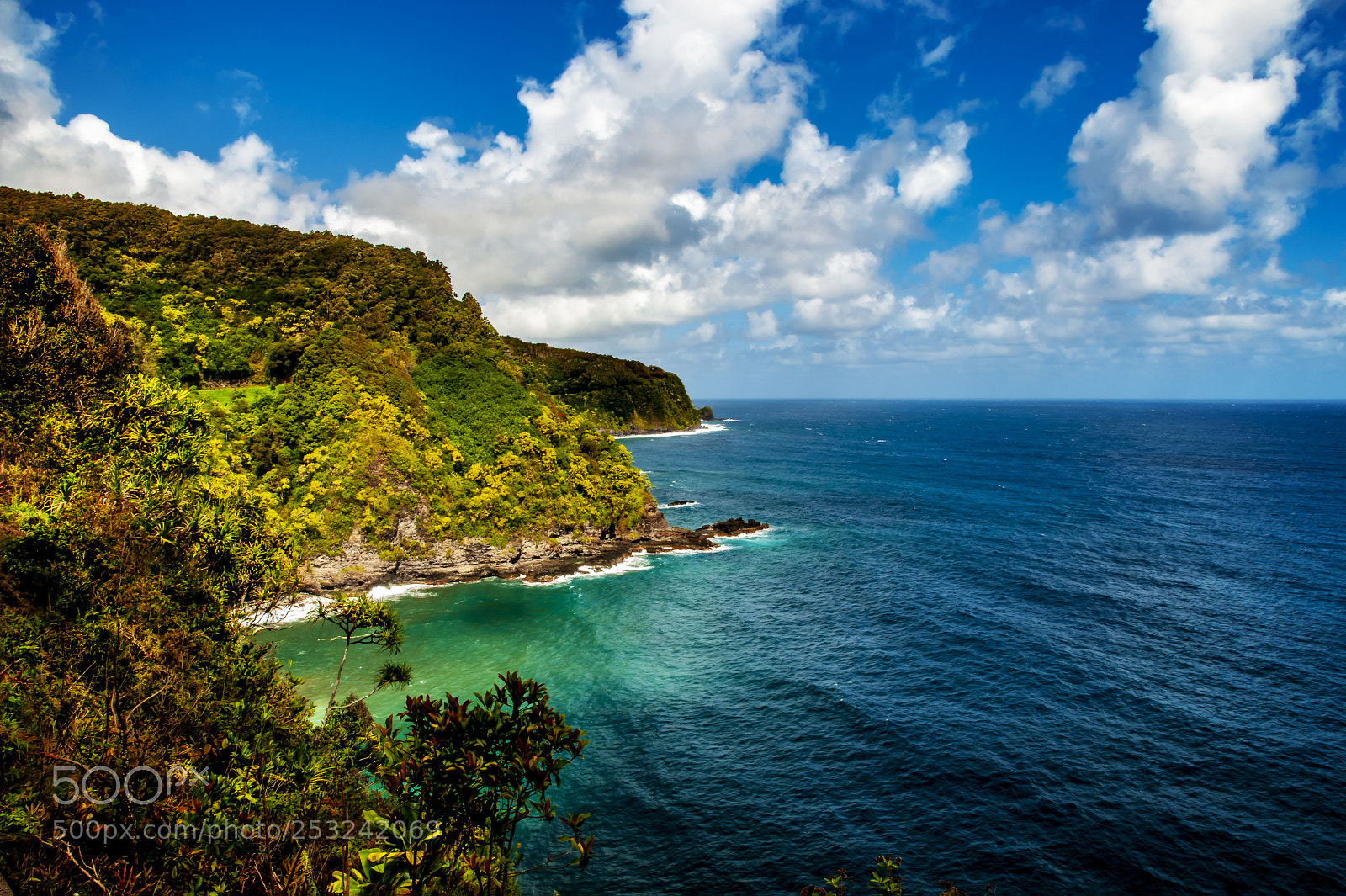 Nikon D300 sample photo. Hana road view photography