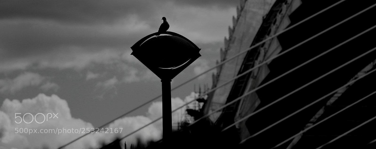 Canon EOS 700D (EOS Rebel T5i / EOS Kiss X7i) sample photo. Perch bird photography