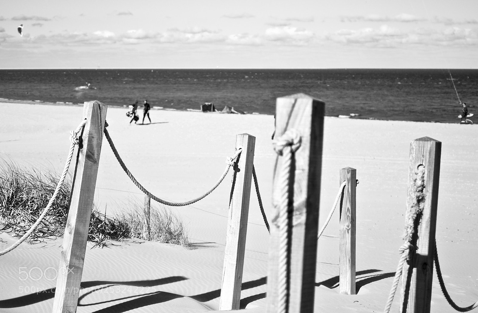 Nikon D3000 sample photo. Untitled photography