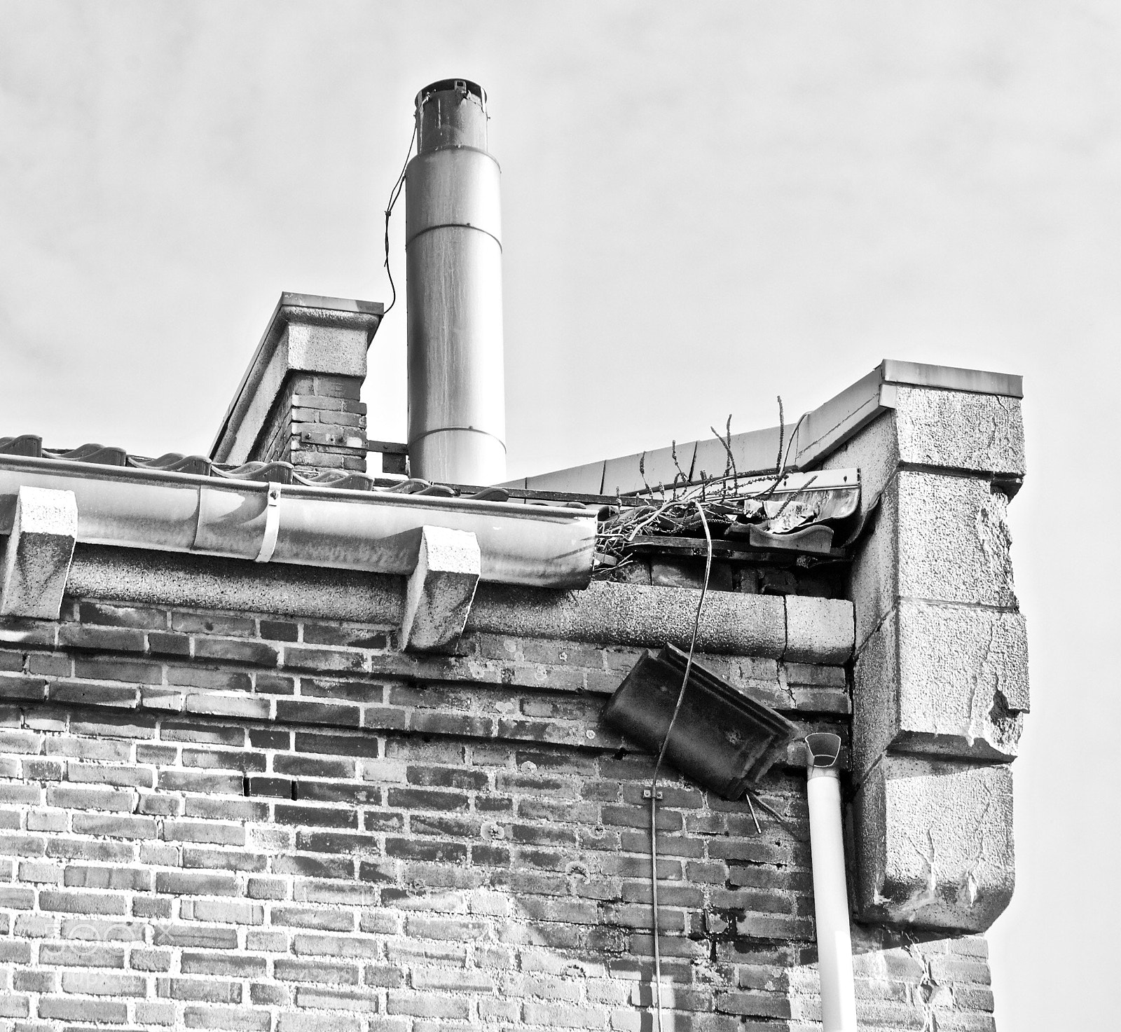 Nikon D3000 sample photo. Untitled photography