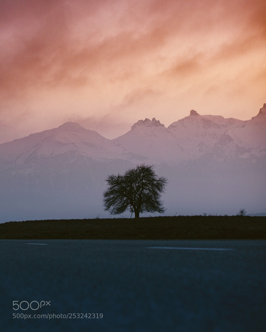 Nikon D800 sample photo. Road to digoria  photography