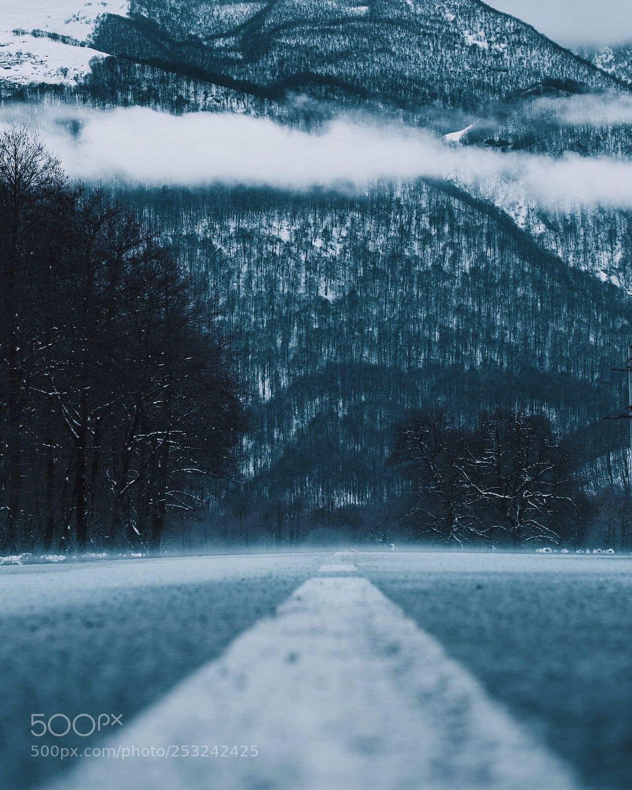 Nikon D800 sample photo. Cold  photography