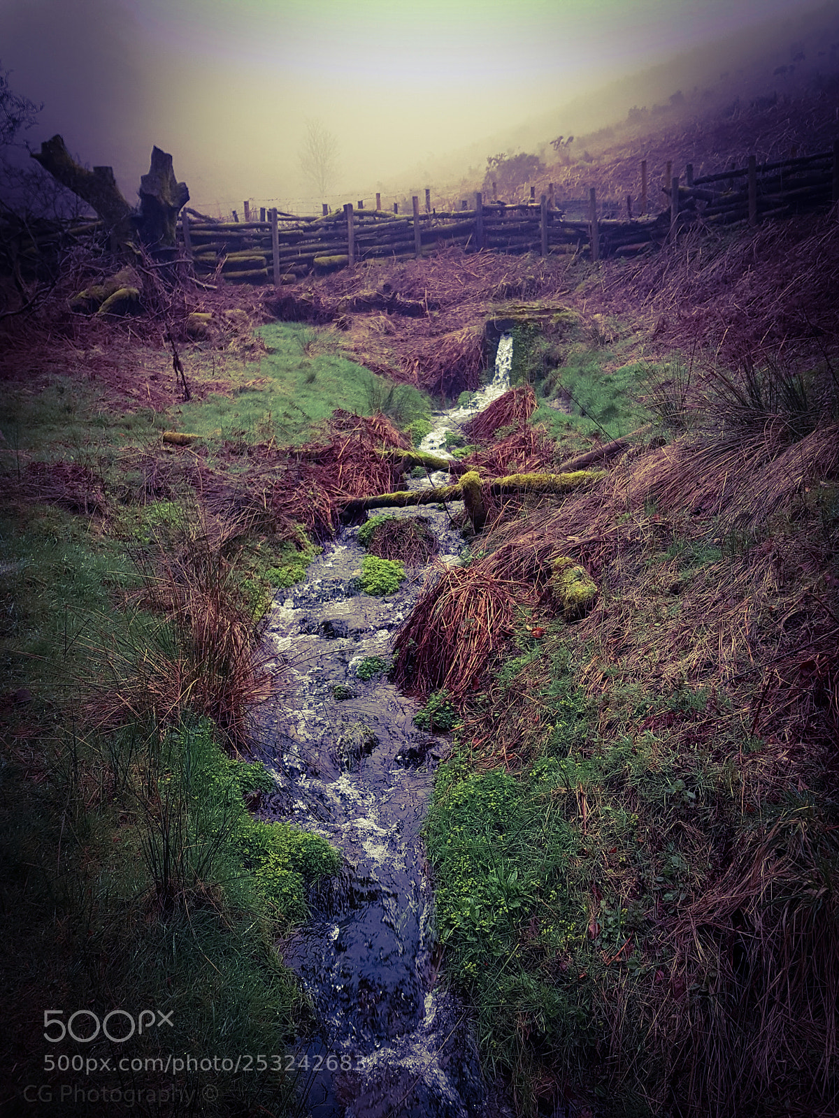 Samsung Galaxy S8 sample photo. Misty stream photography