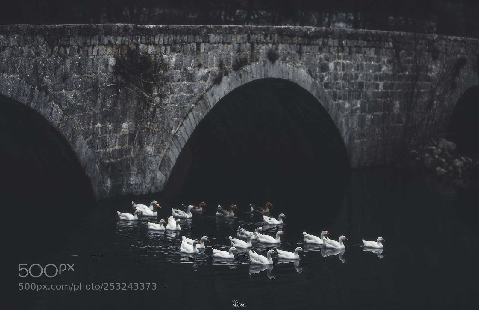 Nikon D7200 sample photo. Rijeka crnojevica bridge photography