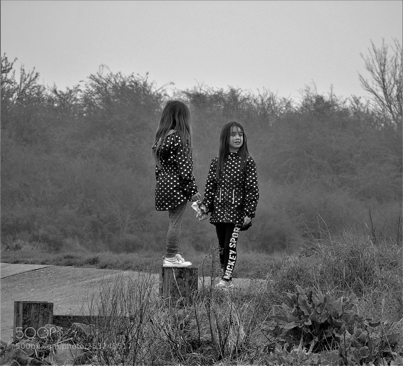 Sony Cyber-shot DSC-H400 sample photo. Sisters photography
