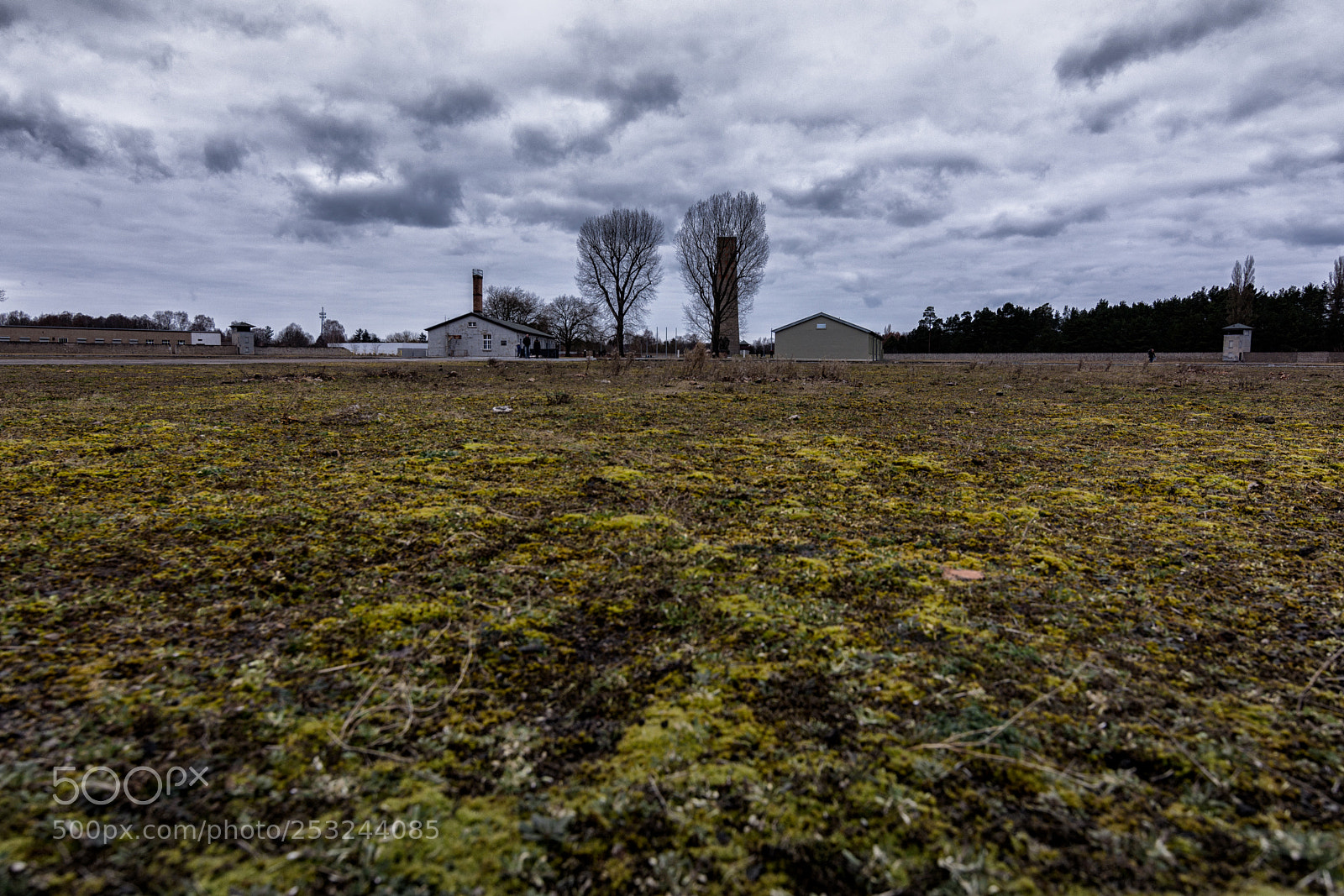 Nikon D7200 sample photo. Sachsenhausen photography