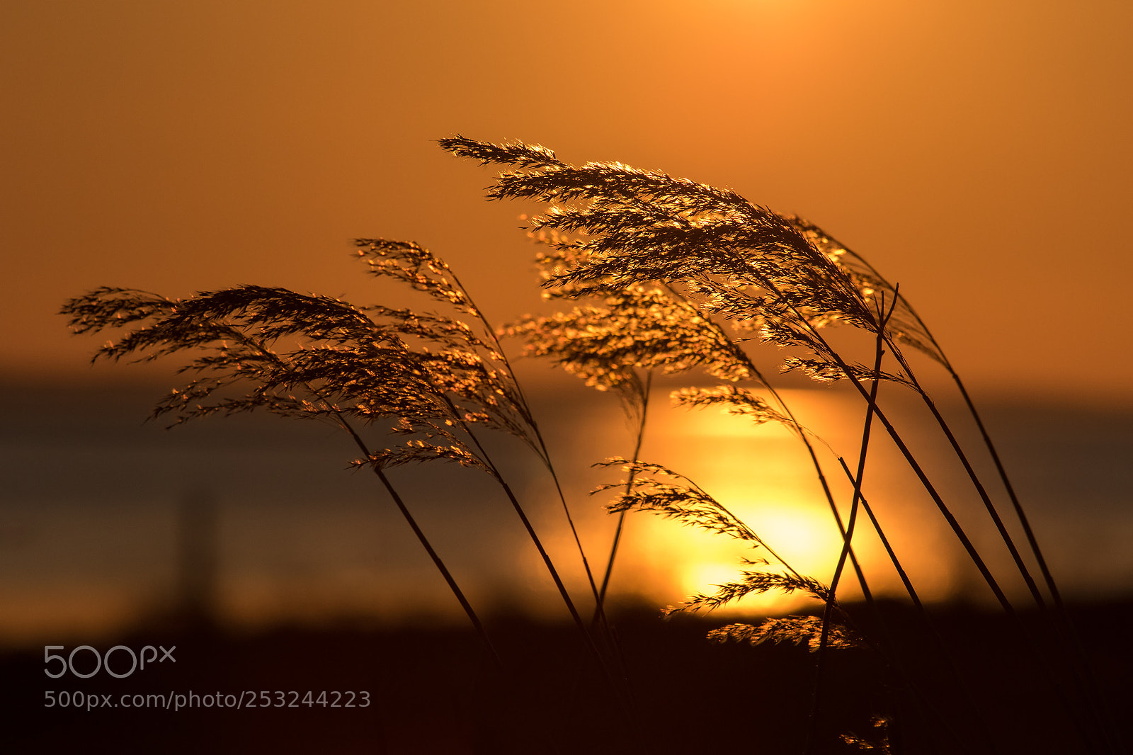 Canon EOS 7D Mark II sample photo. Sunset photography