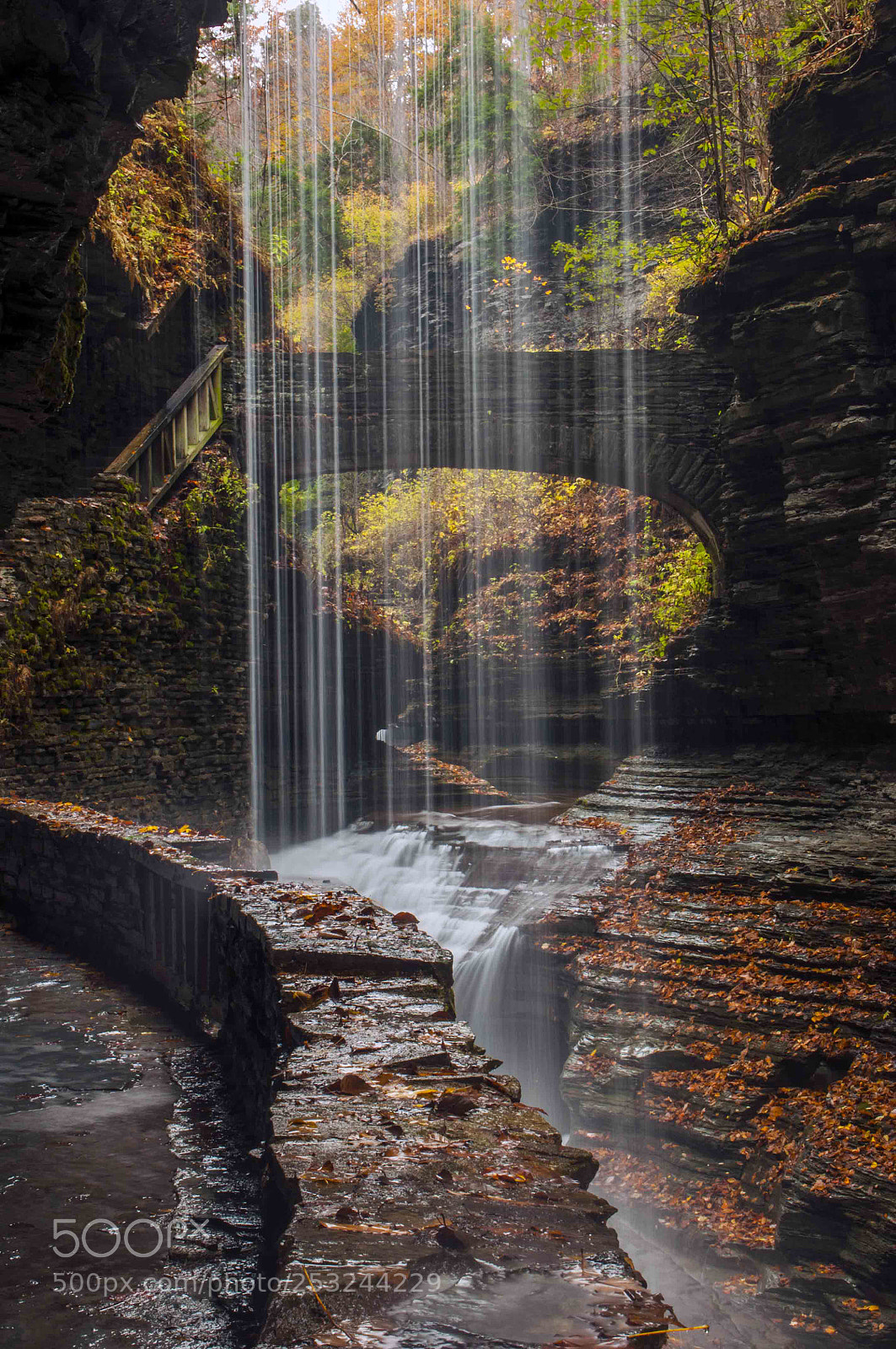 Nikon D300 sample photo. Paradise photography