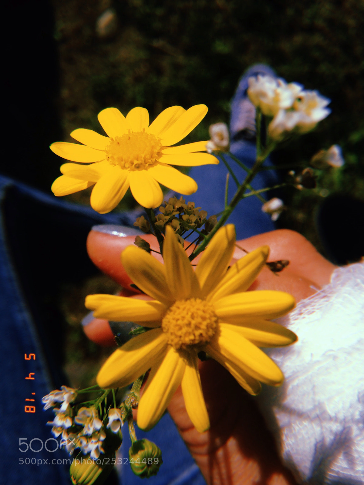 Apple iPhone sample photo. Untitled photography