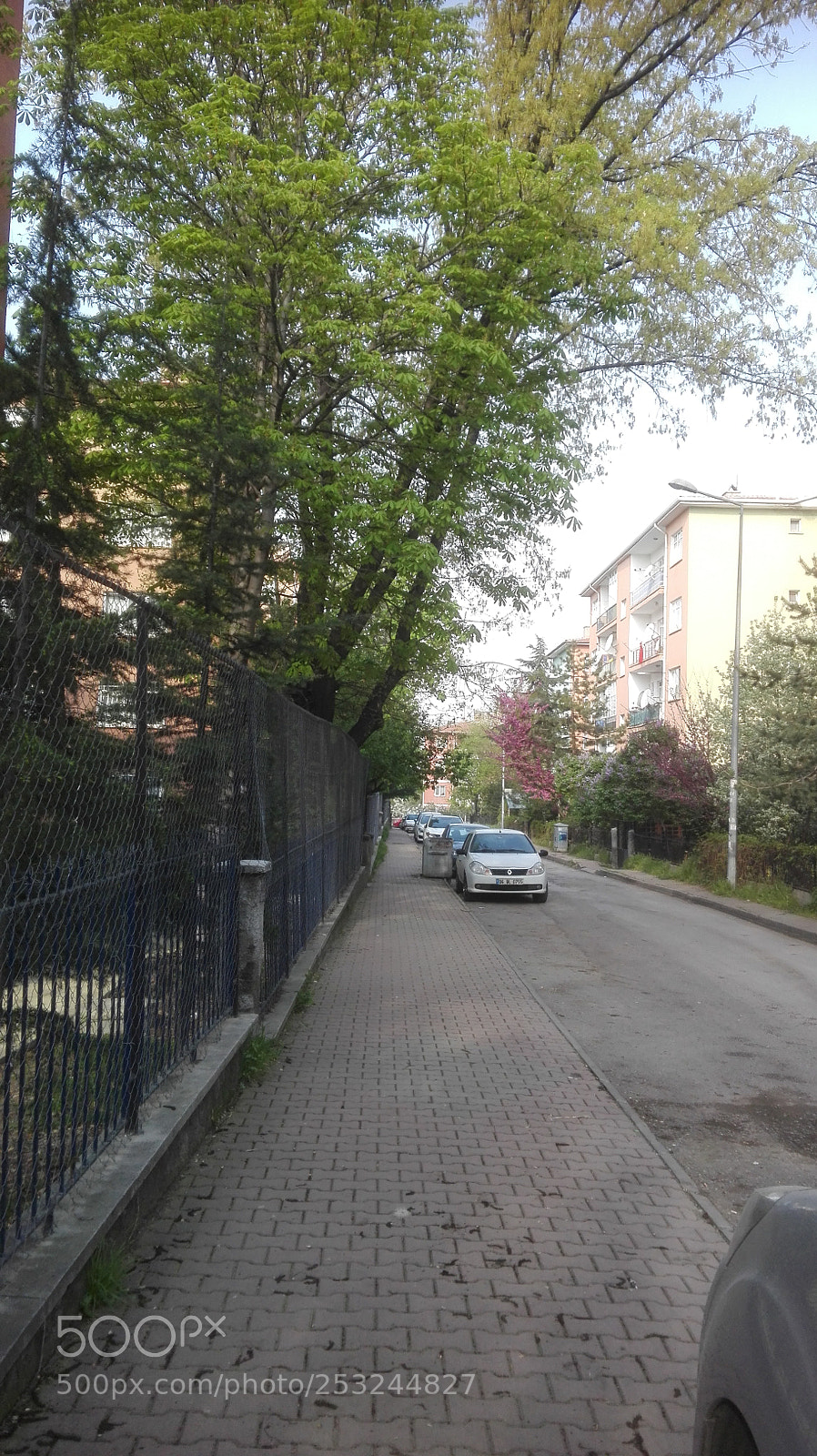 HUAWEI P8 Lite sample photo. A peaceful spring street photography