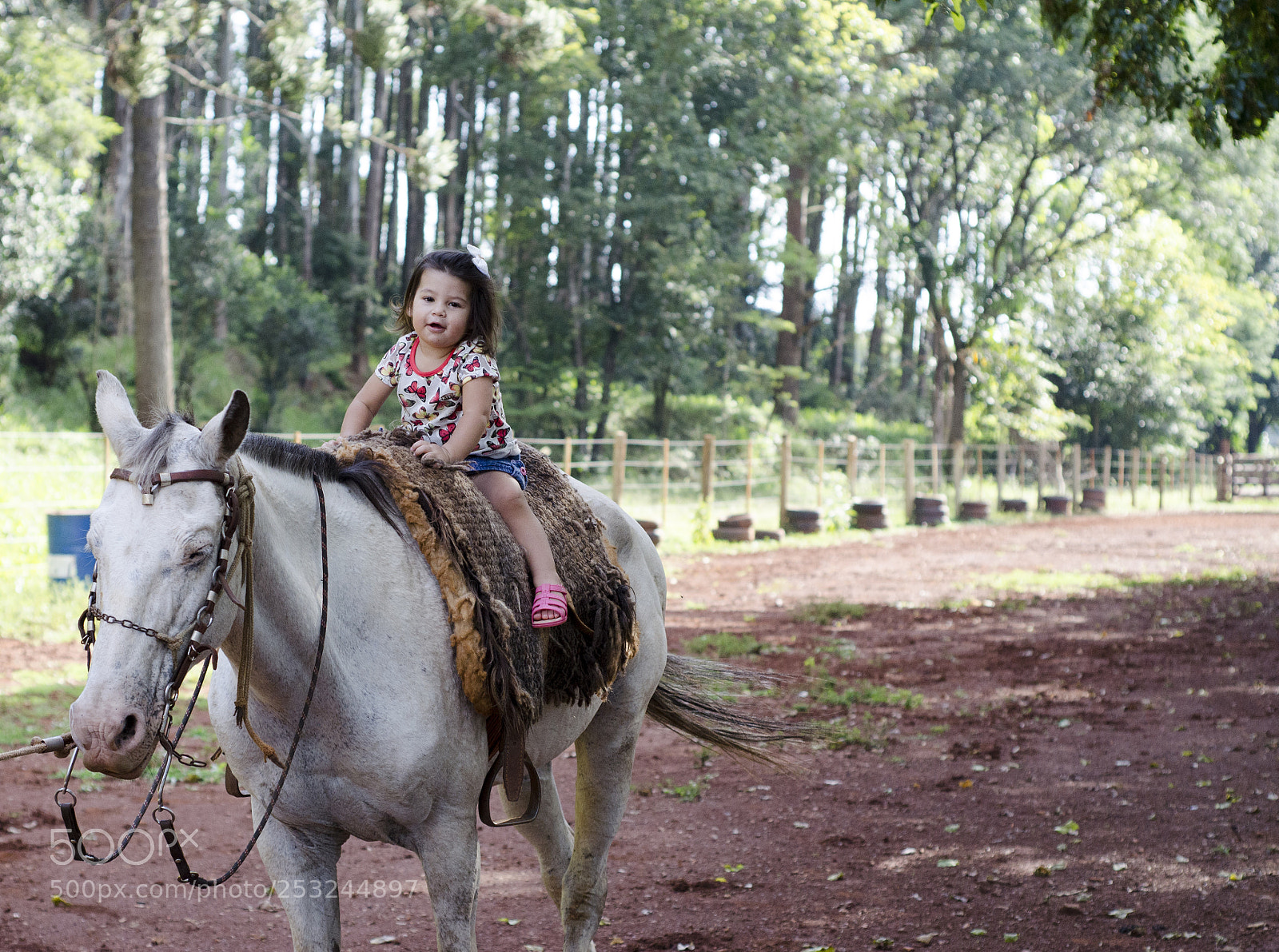 Nikon D5100 sample photo. The children play on photography