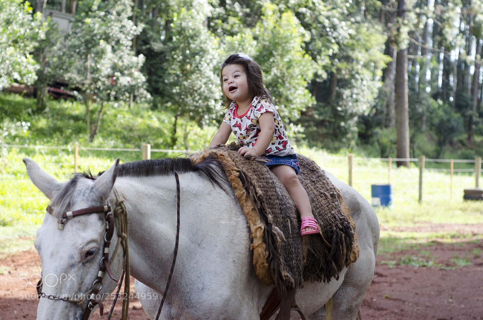 Nikon D5100 sample photo. The children play on photography