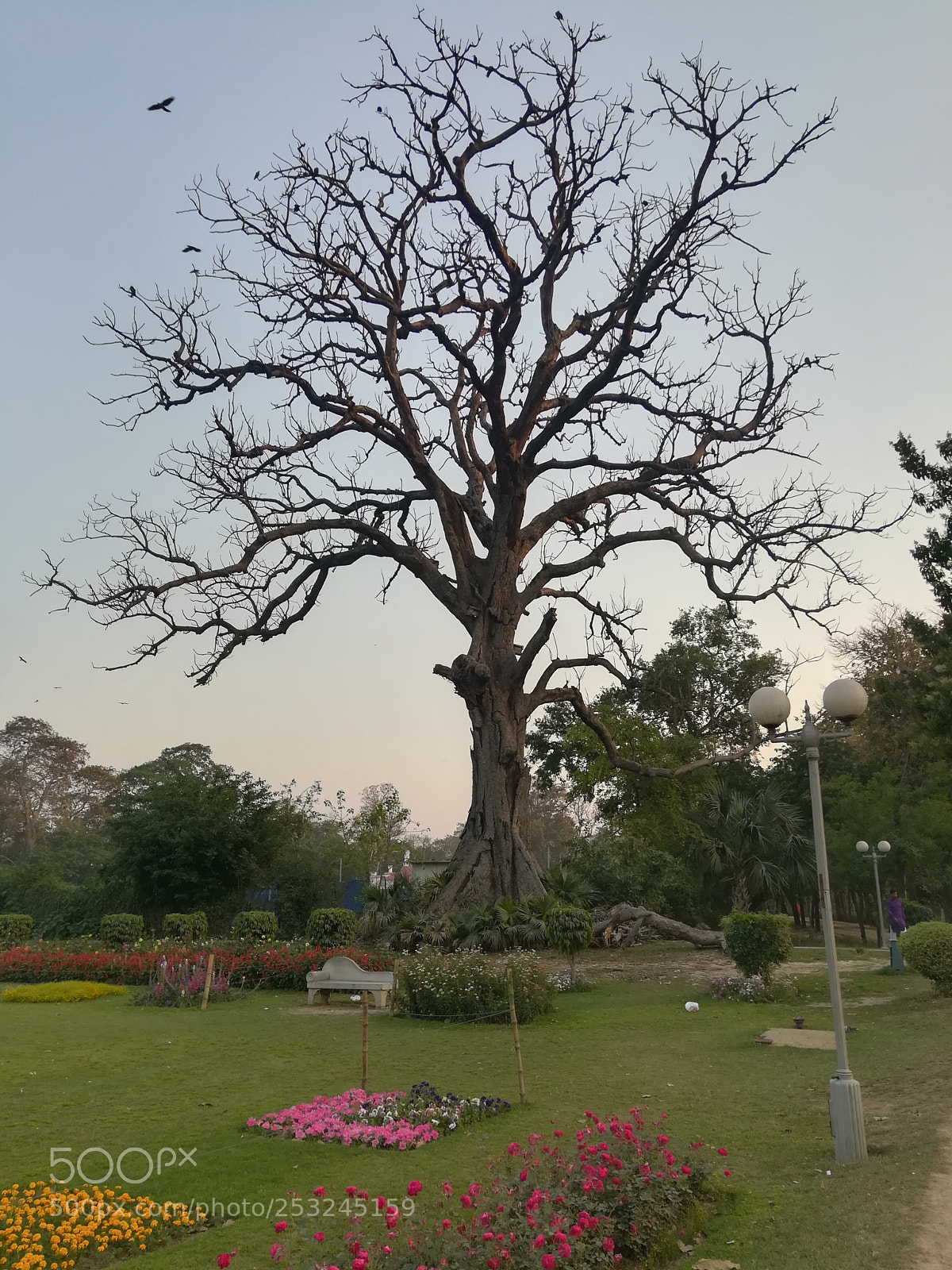 HUAWEI honor 6x sample photo. Untitled photography