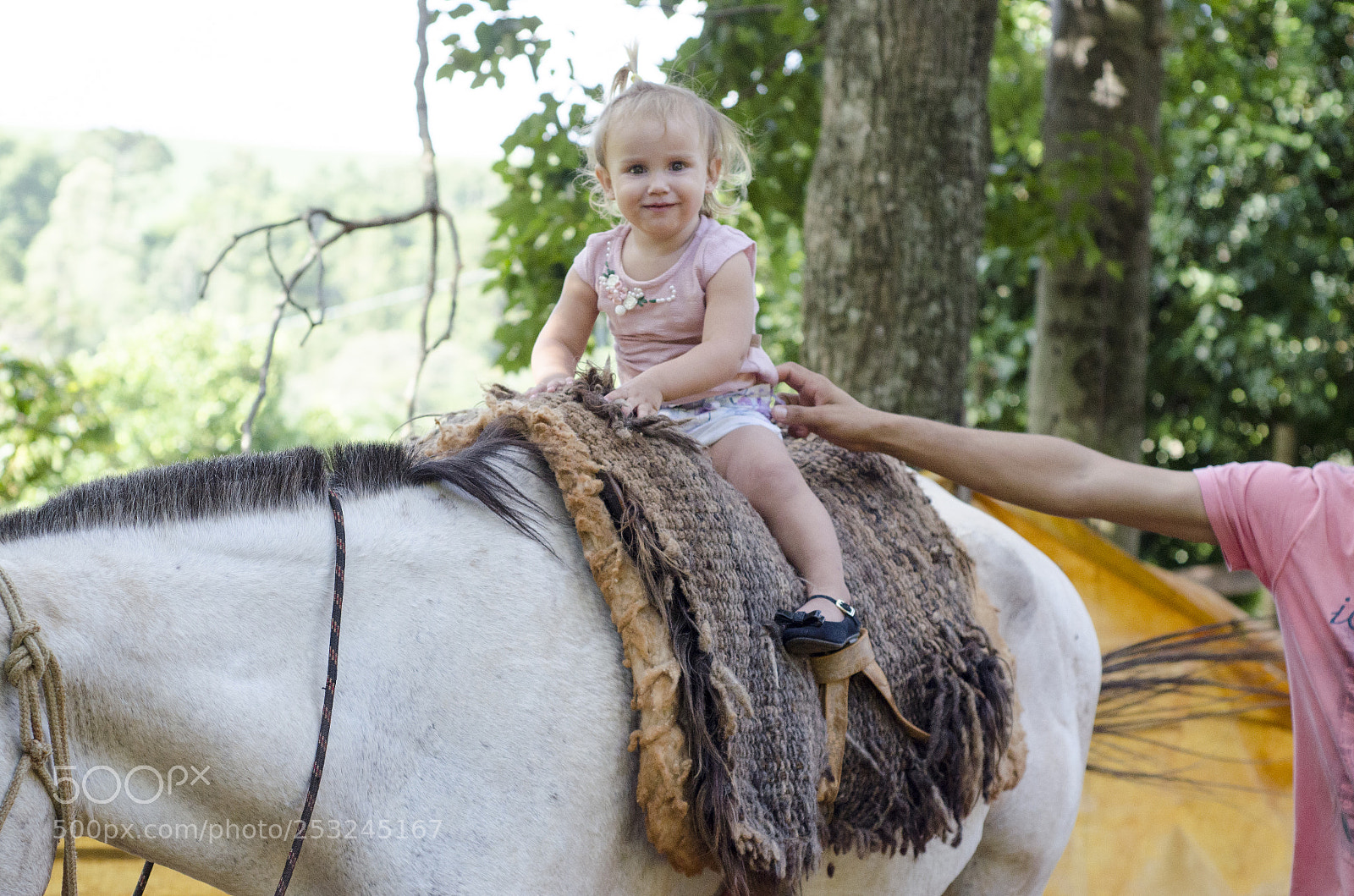 Nikon D5100 sample photo. The children play on photography