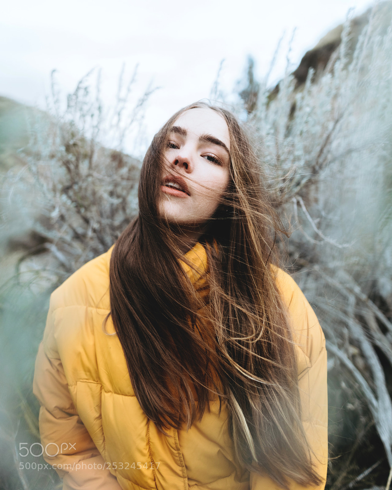 Canon EOS 5D Mark IV sample photo. Sage in the wind. photography