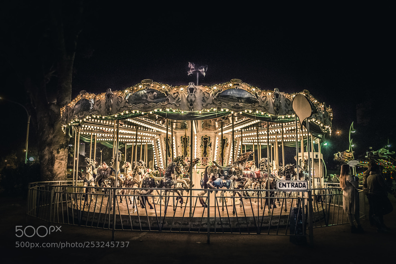 Nikon D7200 sample photo. Carrousel photography