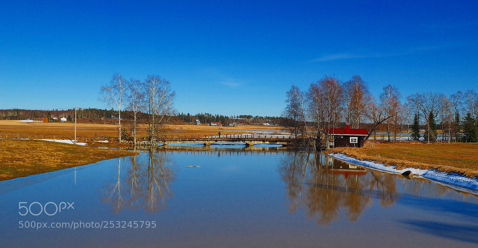 Olympus OM-D E-M1 sample photo. Flooding river photography