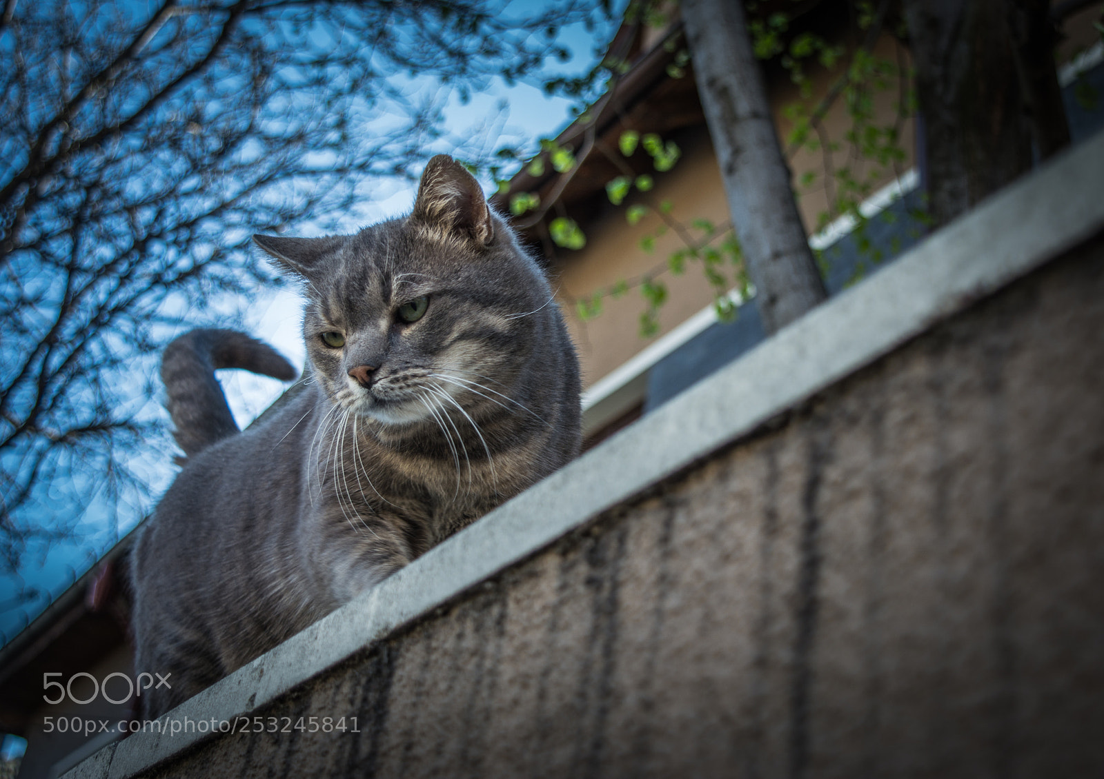 Nikon D5200 sample photo. Interesting photography