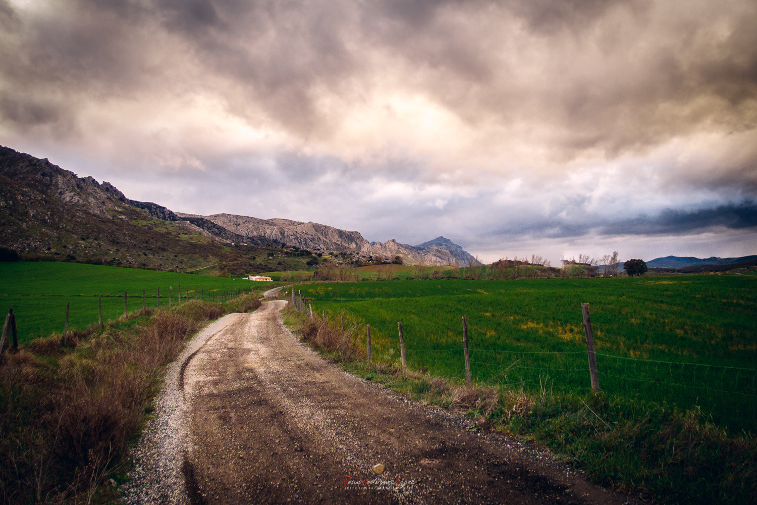 Olympus XZ-1 sample photo. Camino marcado photography