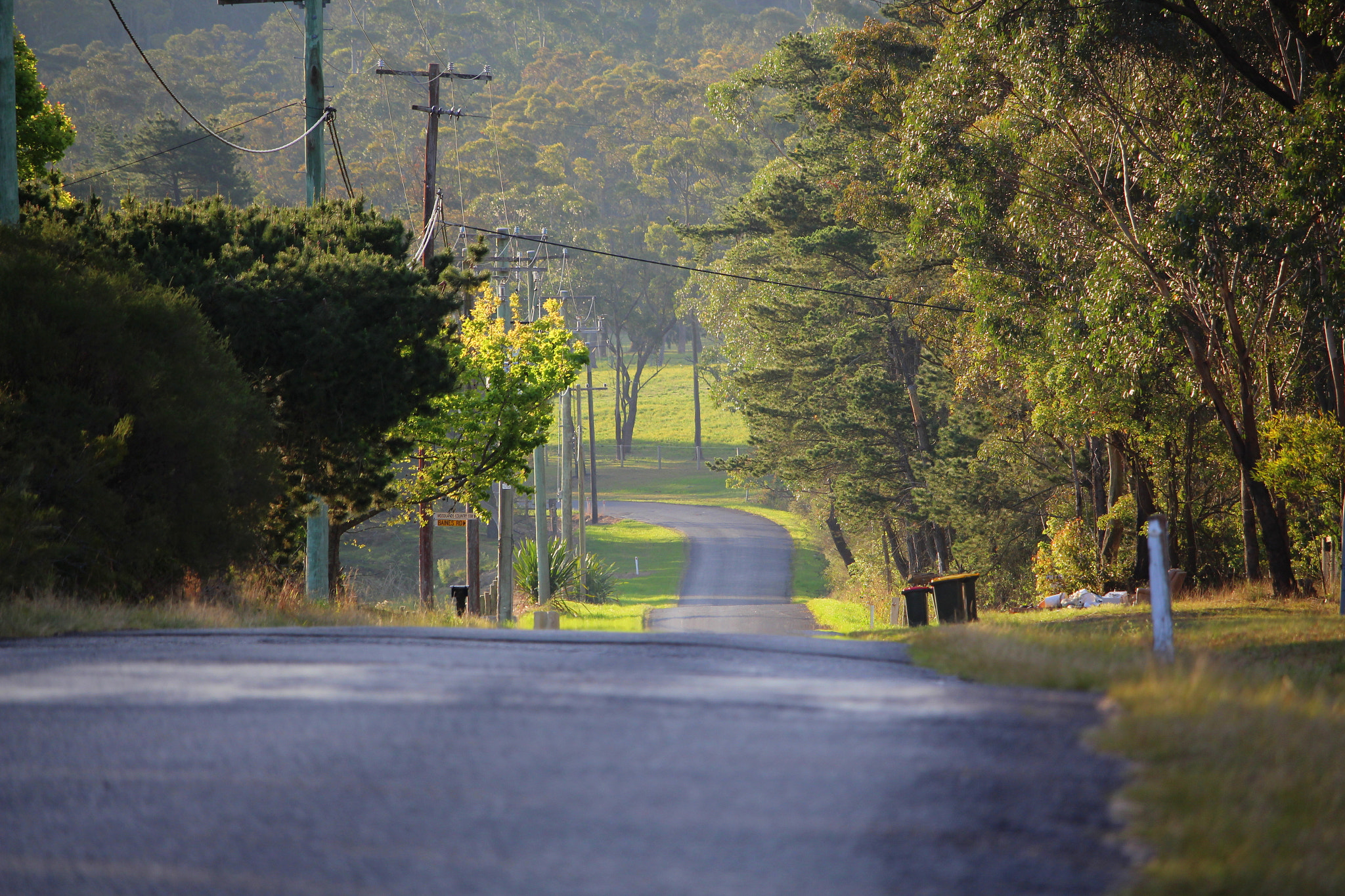 Canon EF-S 55-250mm F4-5.6 IS STM sample photo. My shoot photography