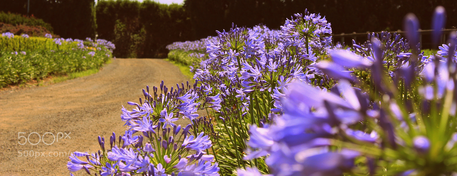 Canon EOS 700D (EOS Rebel T5i / EOS Kiss X7i) sample photo. My shoot photography