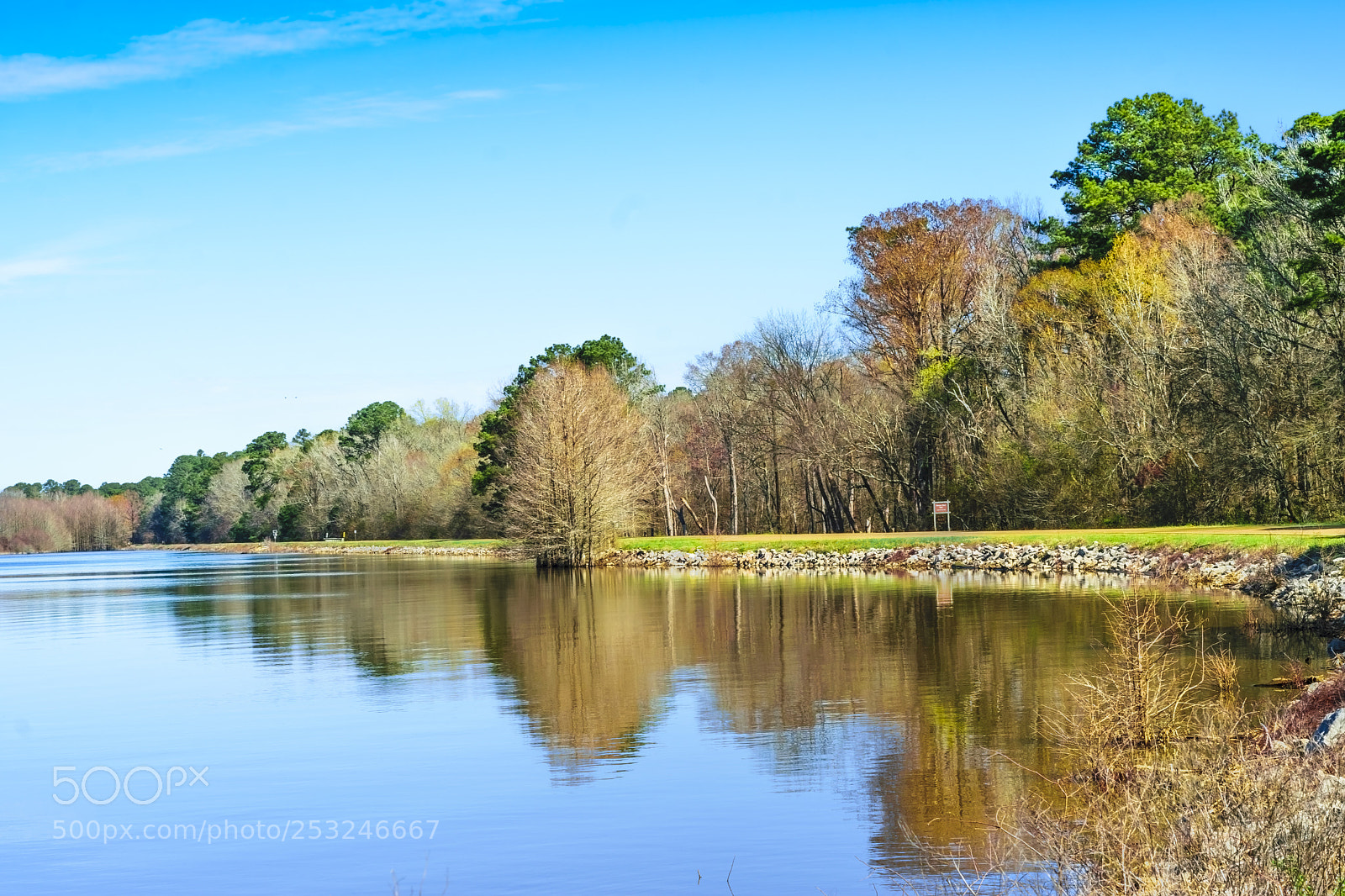 Nikon D5300 sample photo. Nature photography