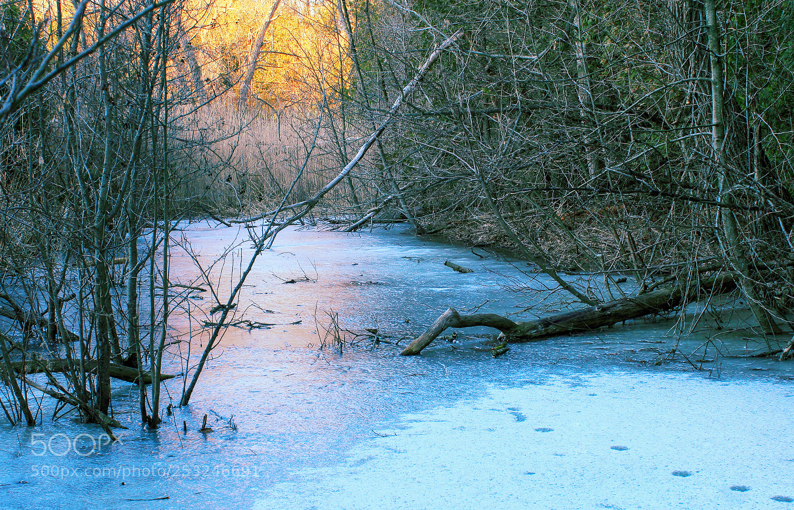 Canon EOS 600D (Rebel EOS T3i / EOS Kiss X5) sample photo. Sunset and ice photography