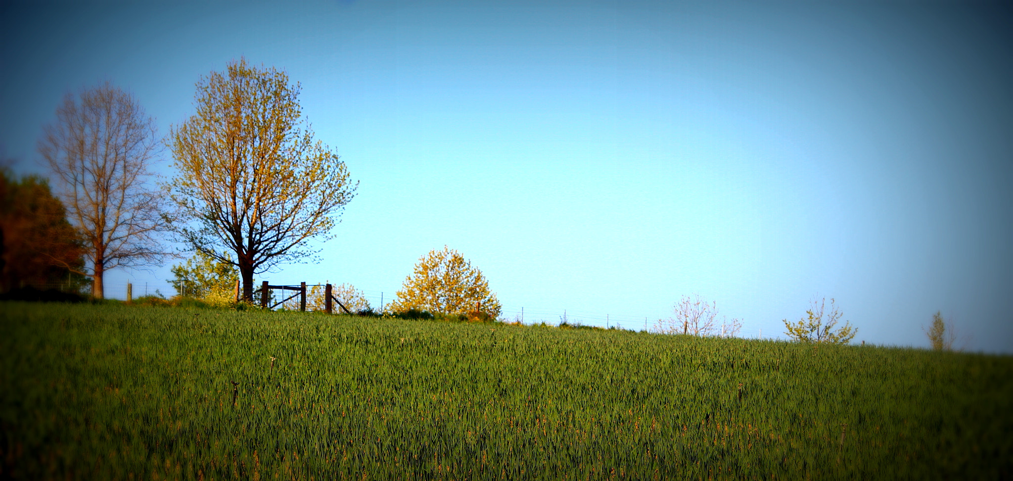Canon EF-S 55-250mm F4-5.6 IS STM sample photo. My shoot photography