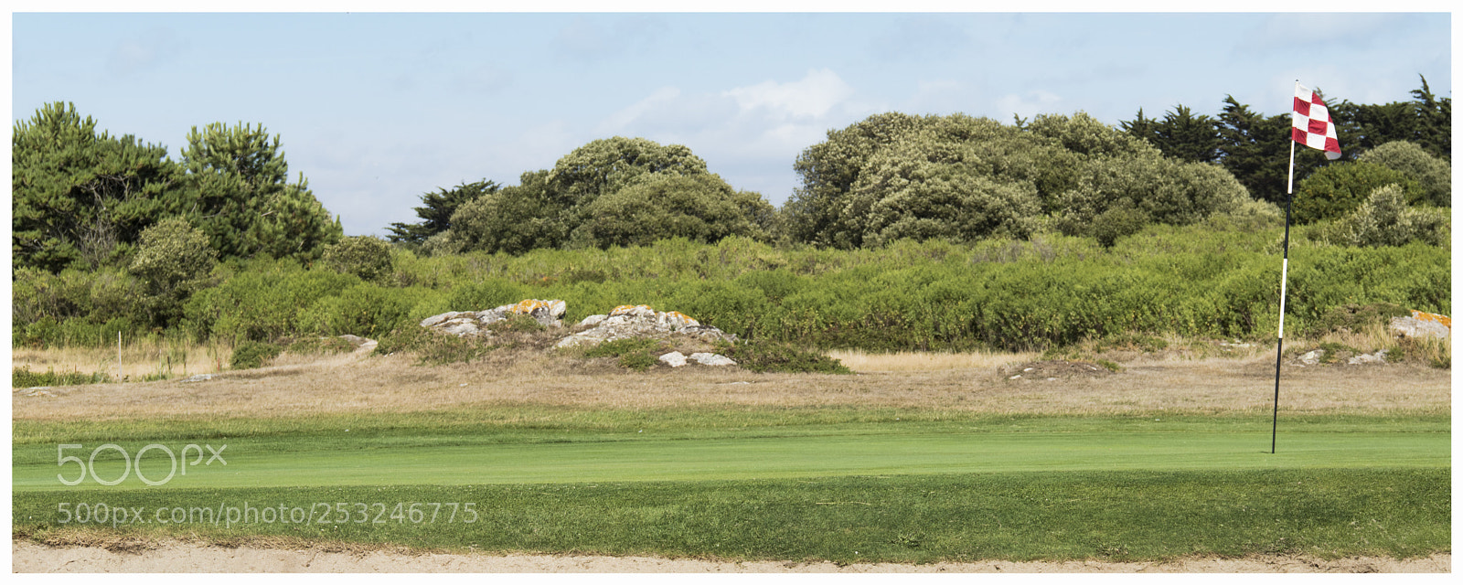 Canon EOS 760D (EOS Rebel T6s / EOS 8000D) sample photo. Golf sauvage - wild photography