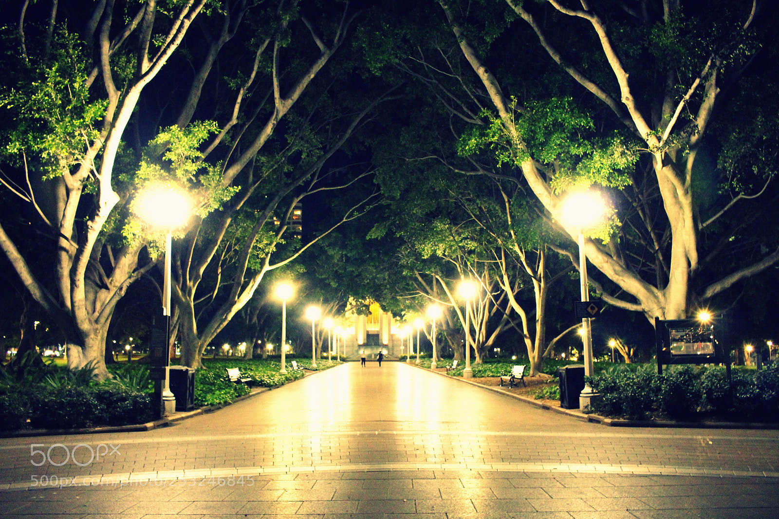 Canon EOS 700D (EOS Rebel T5i / EOS Kiss X7i) sample photo. My shoot photography